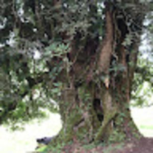 Meet your Posher, Sonja